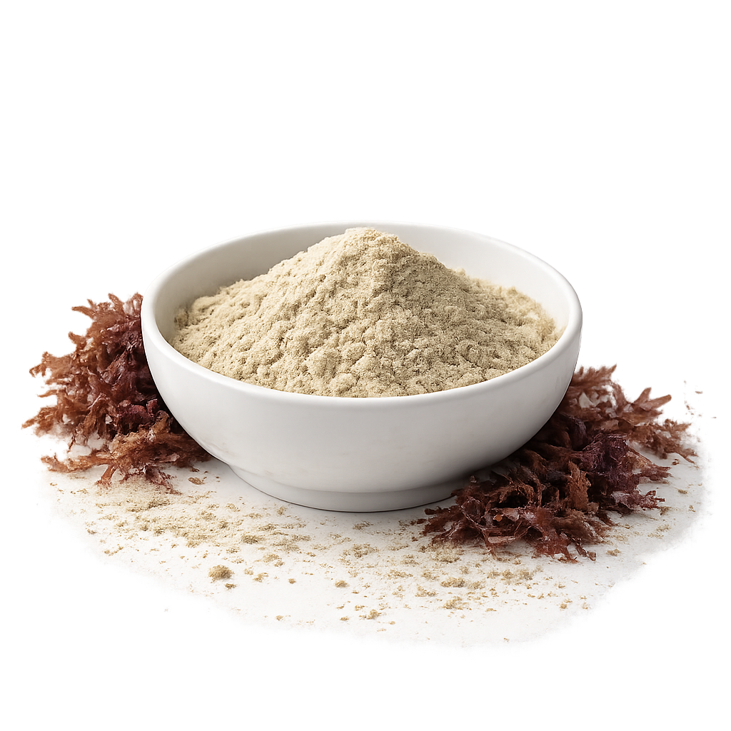 Ocean Elements Seaweed Ingredients